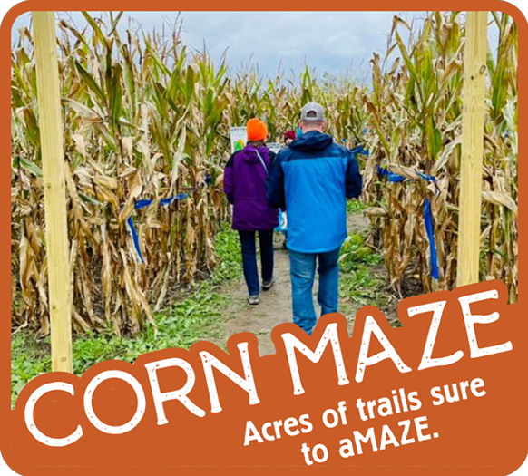 Moore Family Farm Corn Maze
