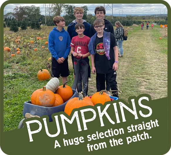 Moore Family Farm Pumpkins
