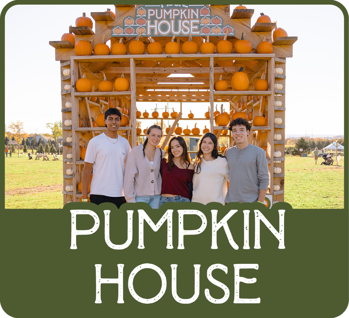 Moore Pumpkin House