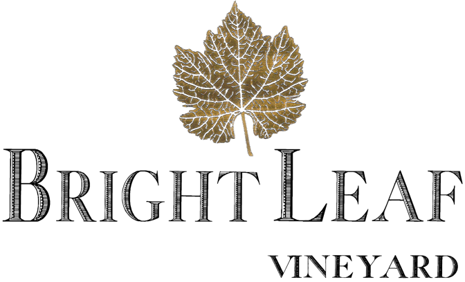 Bright Leaf Vineyard