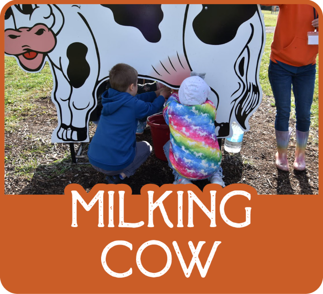 Moore Milking Cow