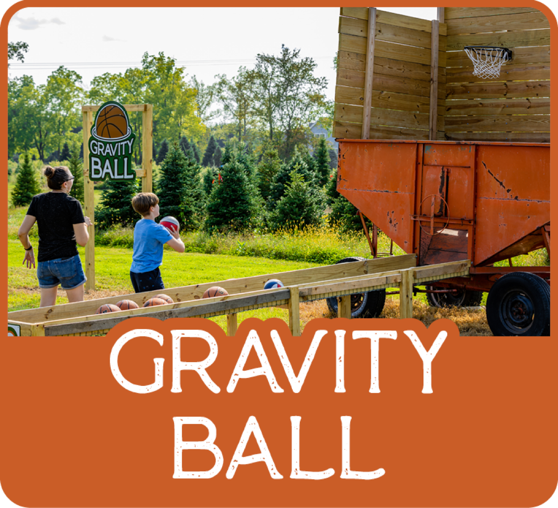 Moore Gravity Ball