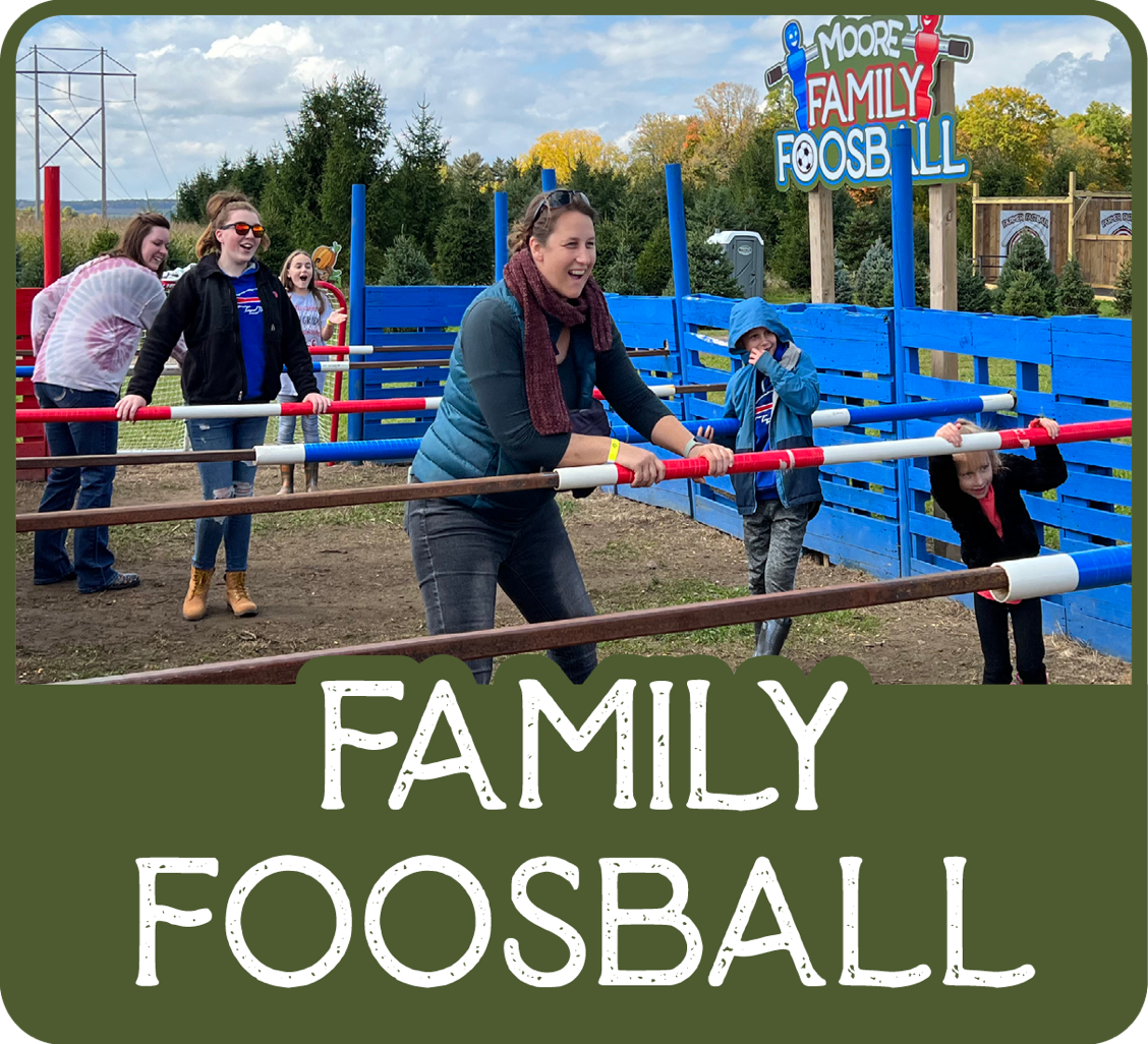 Moore Family Foosball