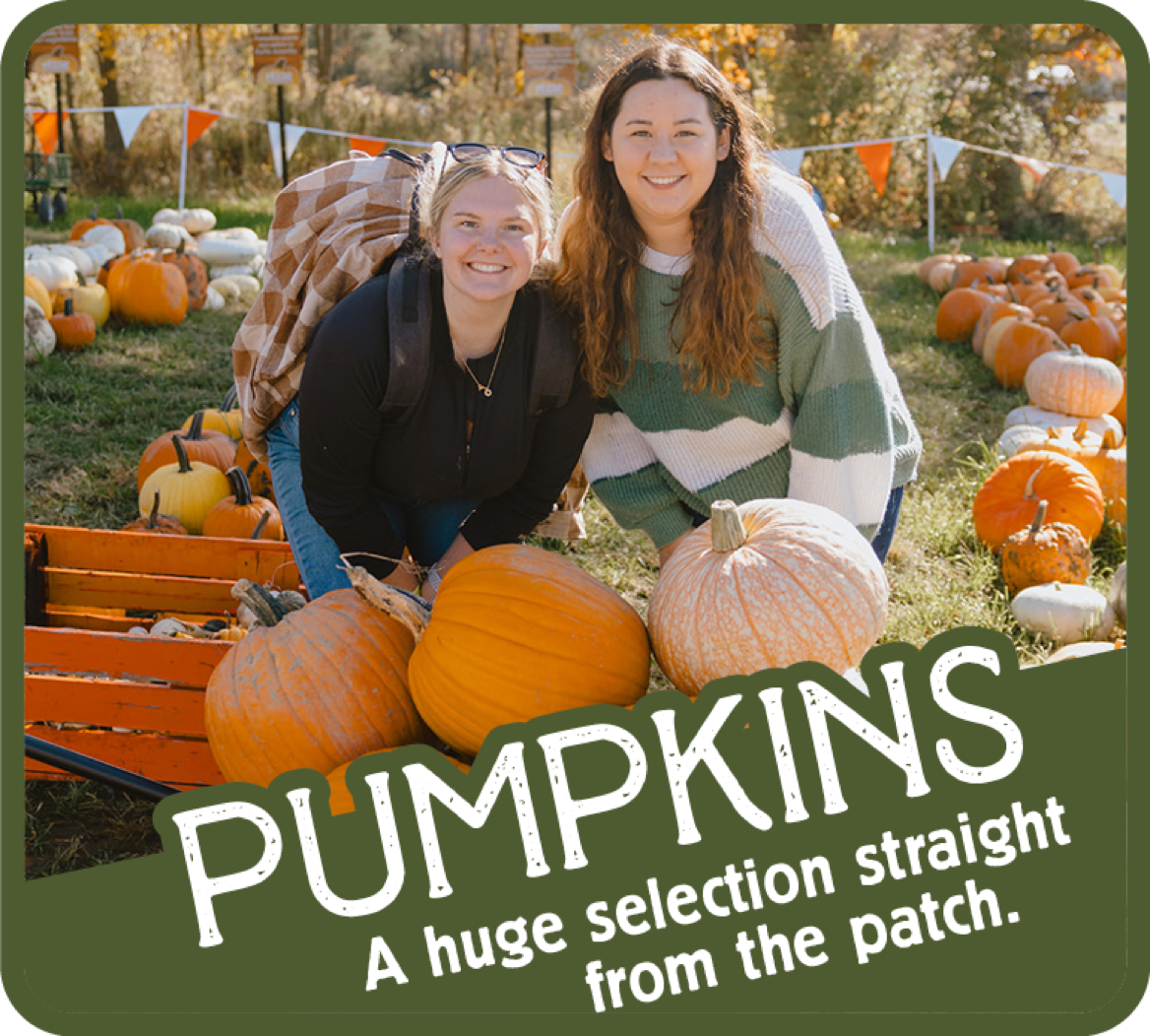 Moore Family Farm Pumpkins