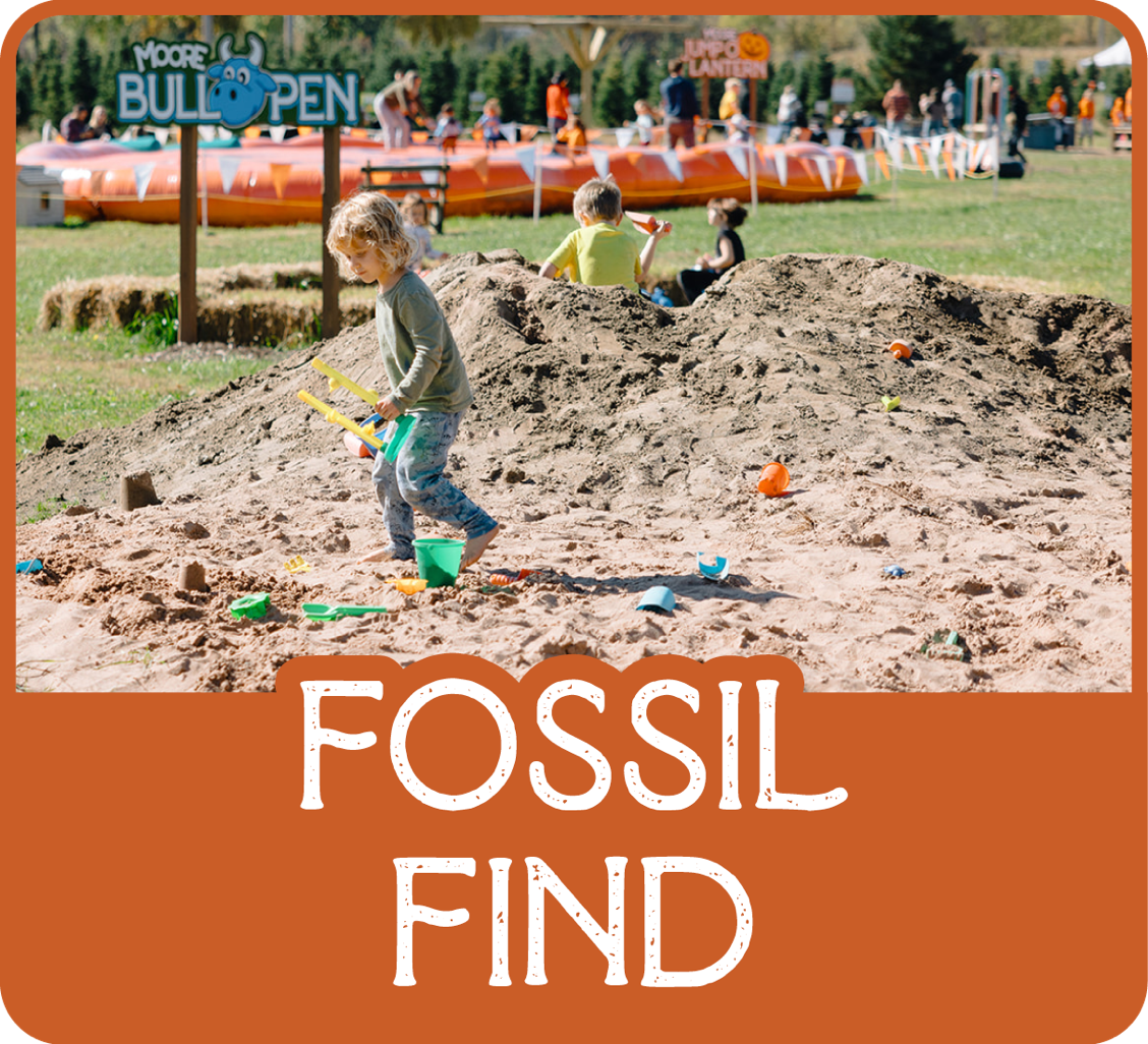 Moore Fossil Find