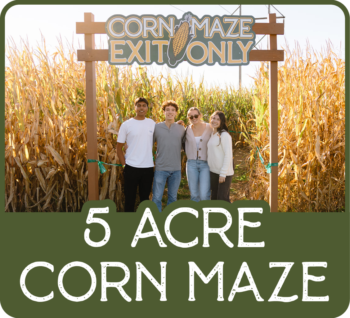 Moore Corn Maze