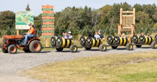 Moore Fall Attractions