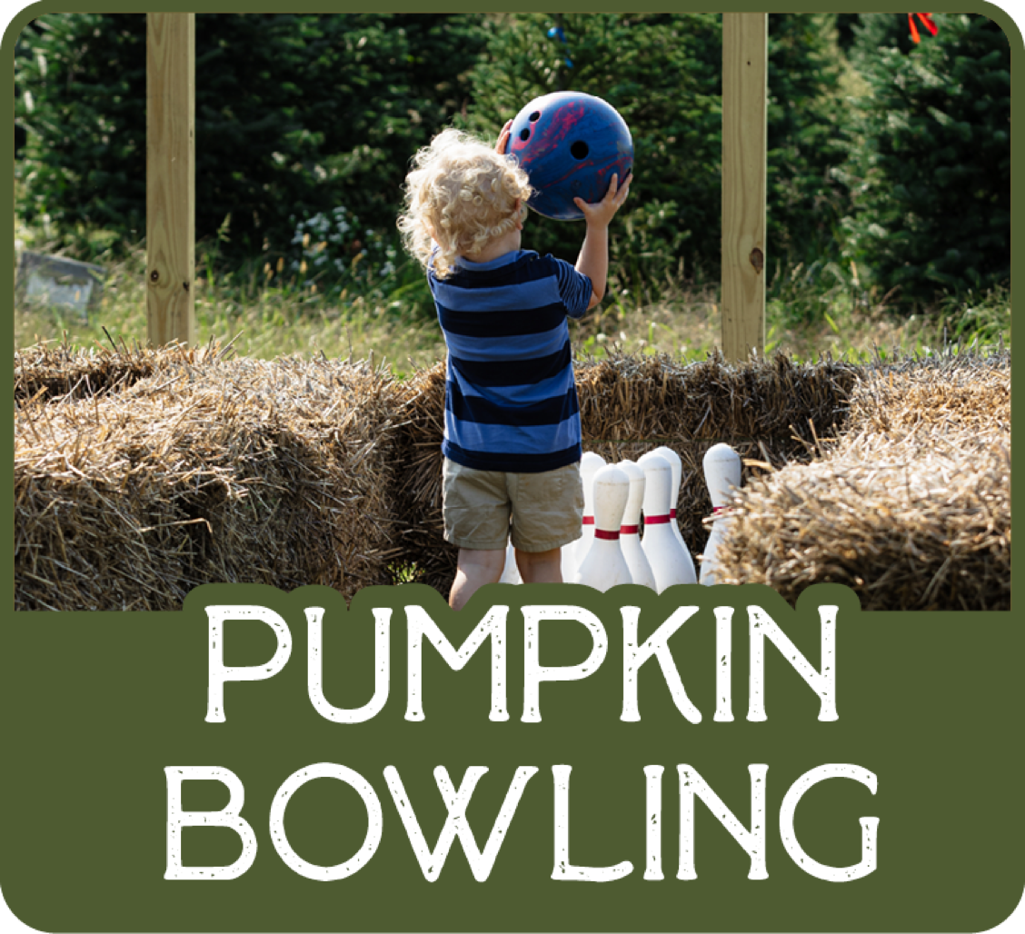 Moore Pumpkin Bowling